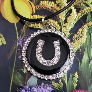 NWOT Horseshoe Necklace